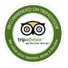 TripAdvisor Reviews